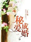 秘爱成婚by追逐泪番外