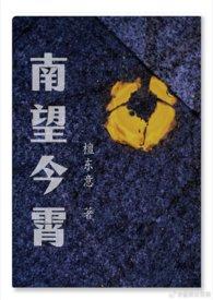 南望今霄by檀东意夸克