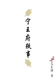宁王府轶事大结局