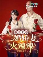 重生七十年代二婚妻全文免费