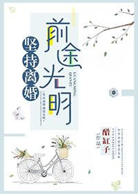 坚持离婚前途光明剧透