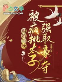 被赐婚的古代gl