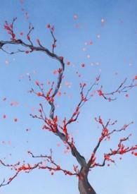 保姆案