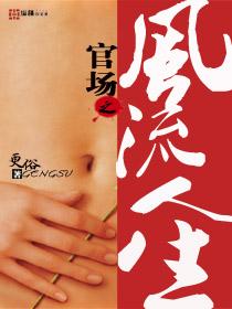 官场之风流人生百度