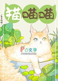 捡到流浪小猫咪怎么办