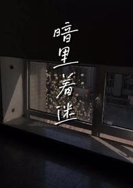 暗里着迷txt在线阅读