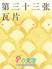 第三十三张瓦片by陨石软糖免费阅读