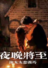 夜晚将至合集谢太太