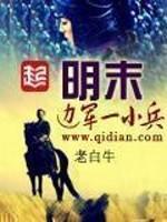 明末边军一小兵阿呆正传