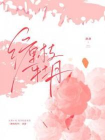 缠枝牡丹花纹