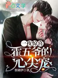 一夜情深霍少放心宠