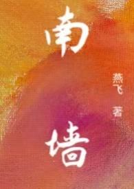 南墙np(燕飞)笔趣阁