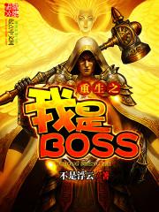 重生之我是boss无错版