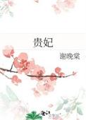 贵妃手镯是什么样子的