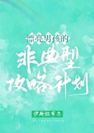 漂亮男孩的非典型攻略计划同