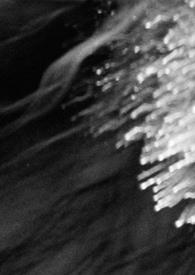 穿越一嫁六夫夜夜宠