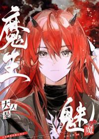魔王大人是魅魔资源