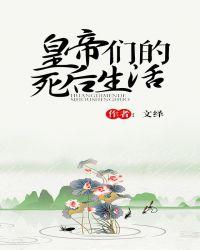 皇帝们的死后生活说的是什么