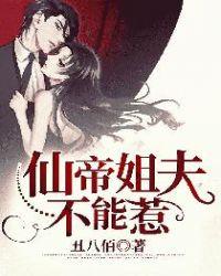 仙帝姐夫不好