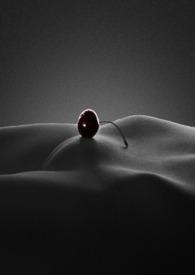 顶风作案蒙面咸鱼