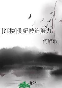侧妃娘娘洪福齐天