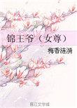 锦王妃全文阅读