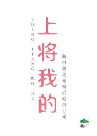 上将放了我