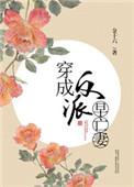 穿成反派早亡妻txt书包网