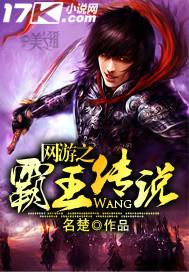 网友之霸王传说
