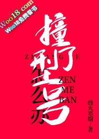 撞了型号怎么办txt百度