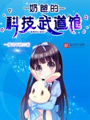 奶爸的武道科技馆