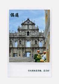 偶遇阅读理解及答案