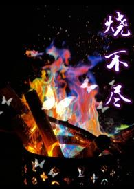 烧不尽歌词