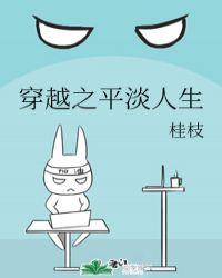 穿越之平淡人生讲的什么