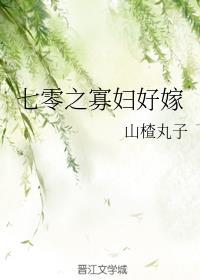 七零之寡妇再嫁