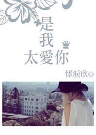 是我太爱你的句子