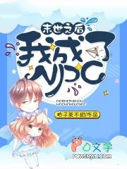 我成为了满级npc