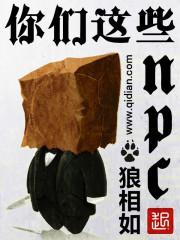 你们这些npc免费阅读
