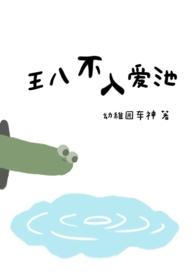 王八不入爱池女主
