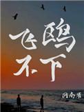 飞鸥不下 全文免费阅读