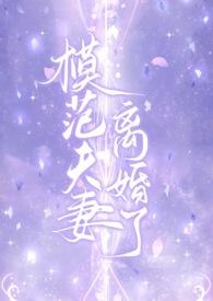 模范夫妻离婚了(高干