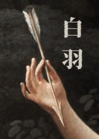 白羽的都有哪些书