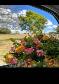 一言不发的意思是什