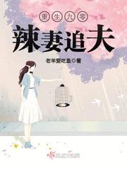 重生九零辣妻追妻追夫