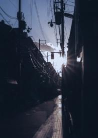 你是我的曙光1v1番外