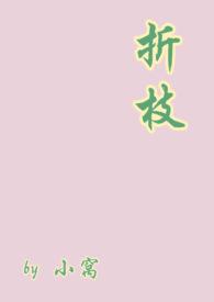 折枝(h)
