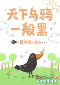 天下乌鸦一般黑是什么生肖