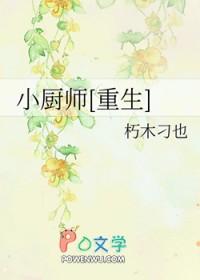 小厨师大厨艺