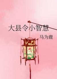 大县令小仵作2k