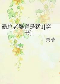 霸总宠妻老婆我错了全本免费阅读